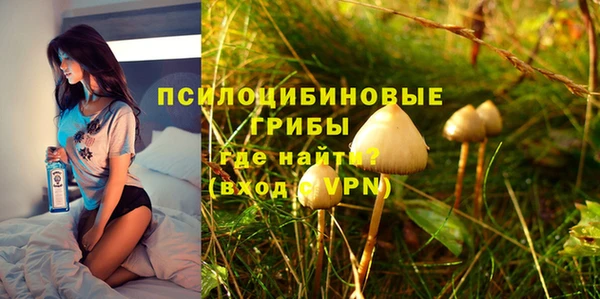 таблы Верхний Тагил