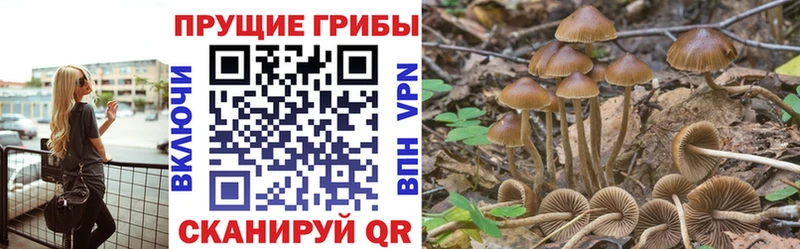 hydra tor  Кандалакша  Галлюциногенные грибы Cubensis 