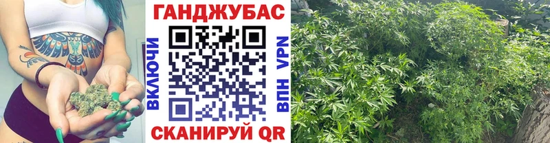 Конопля SATIVA & INDICA  Кандалакша 